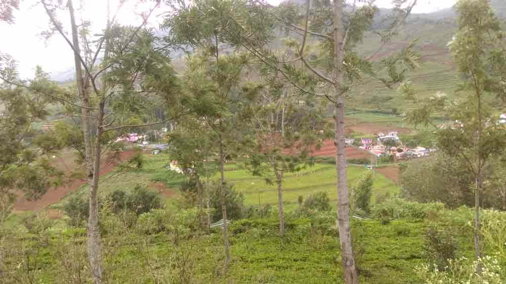 1 Acre farm land for sale Kotagiri